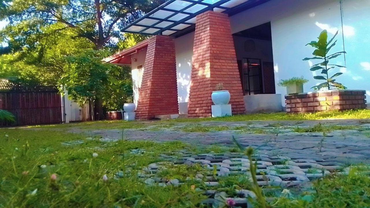Buddhi's Grove view 2