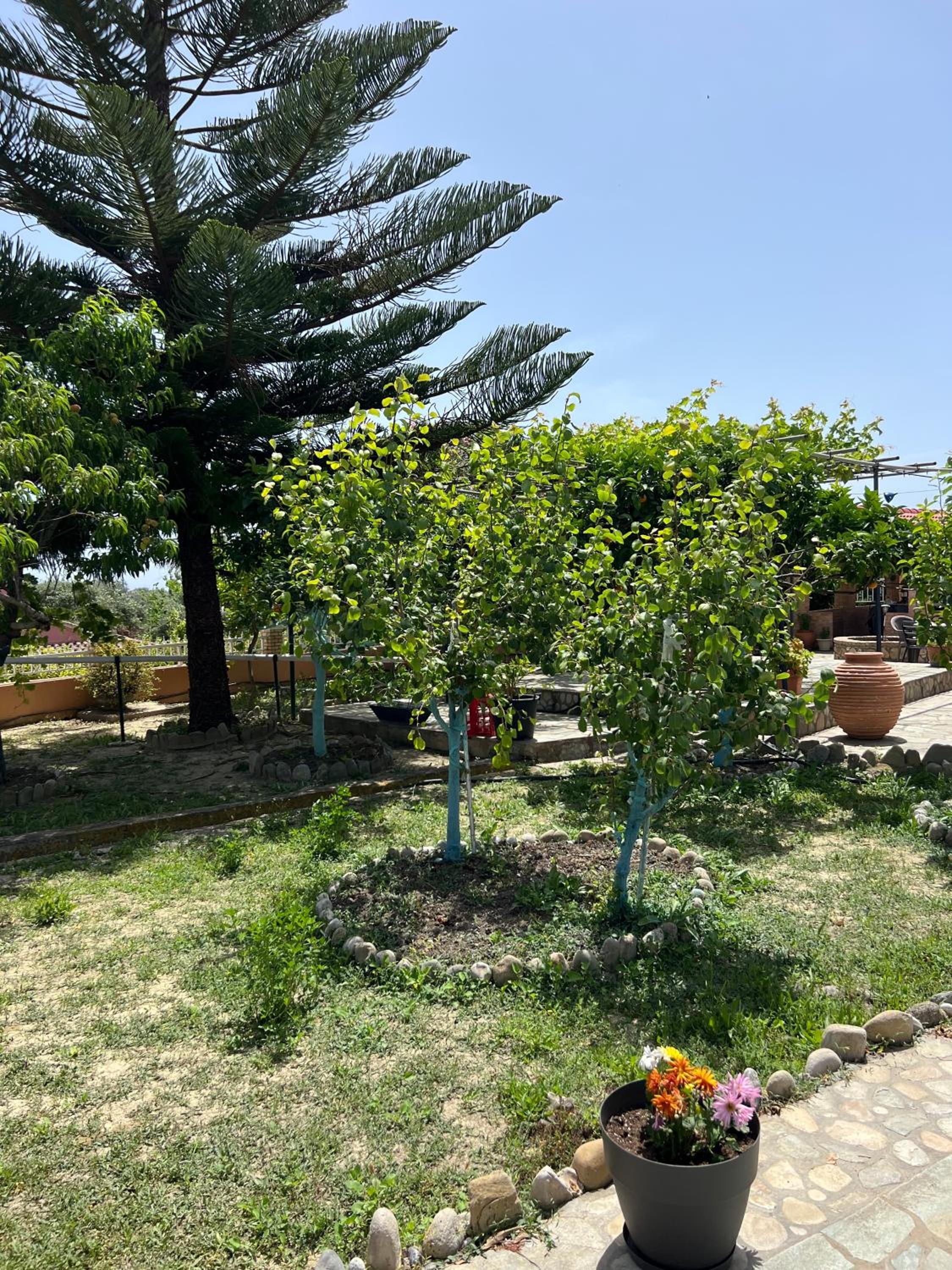 Village Guest House photo 3