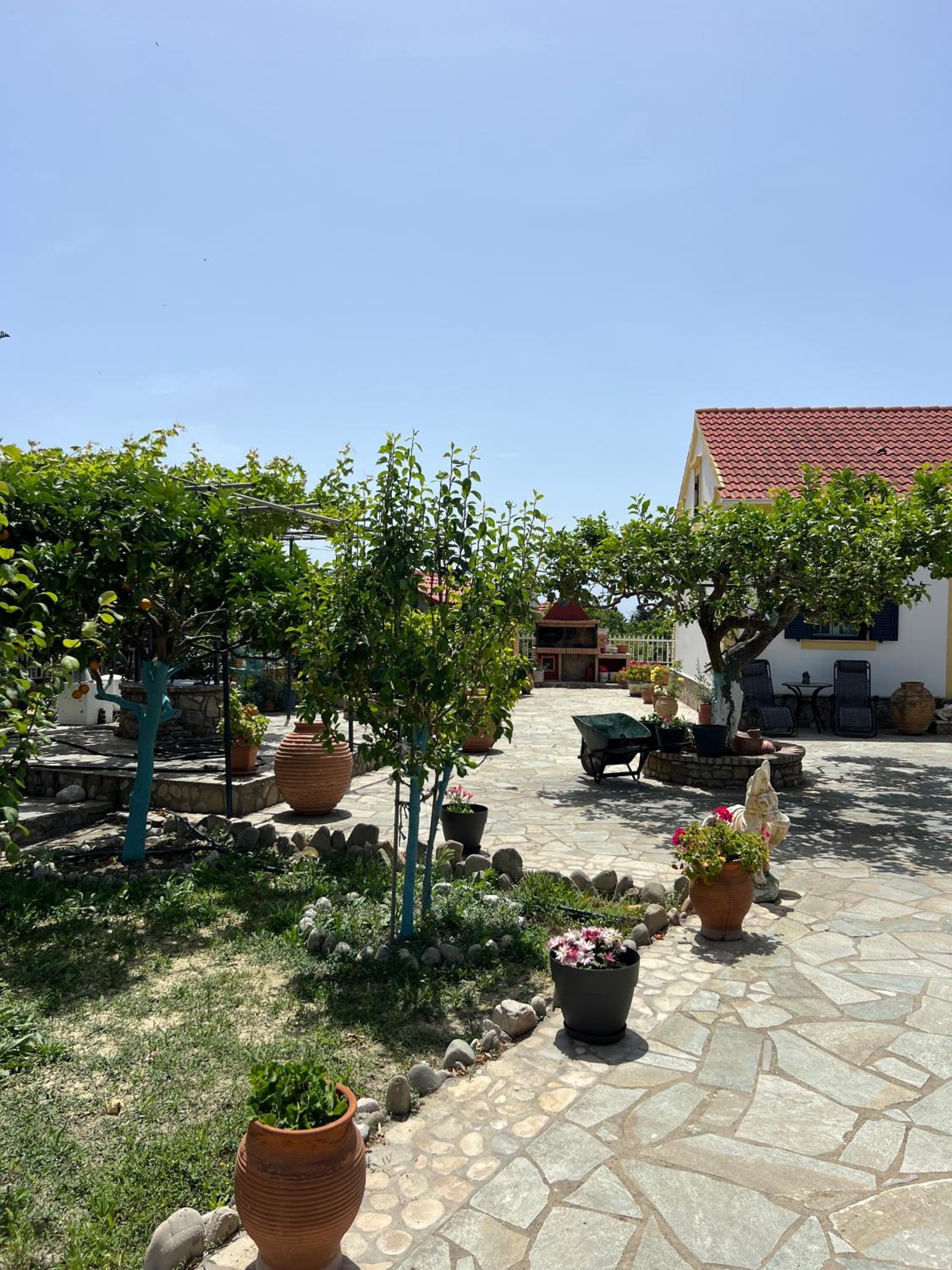 Photo 16
