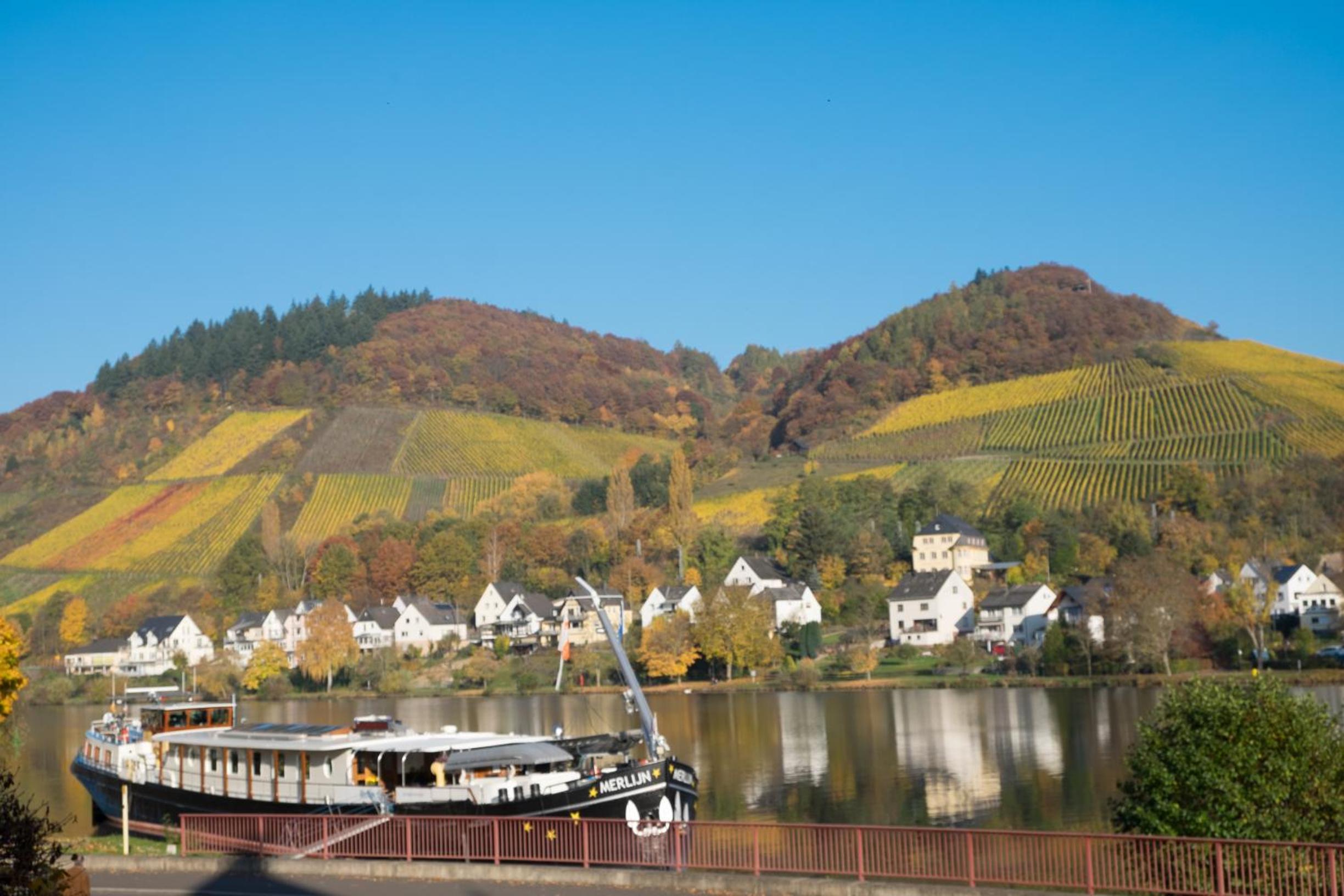 Panorama-Café MOSELGARTEN