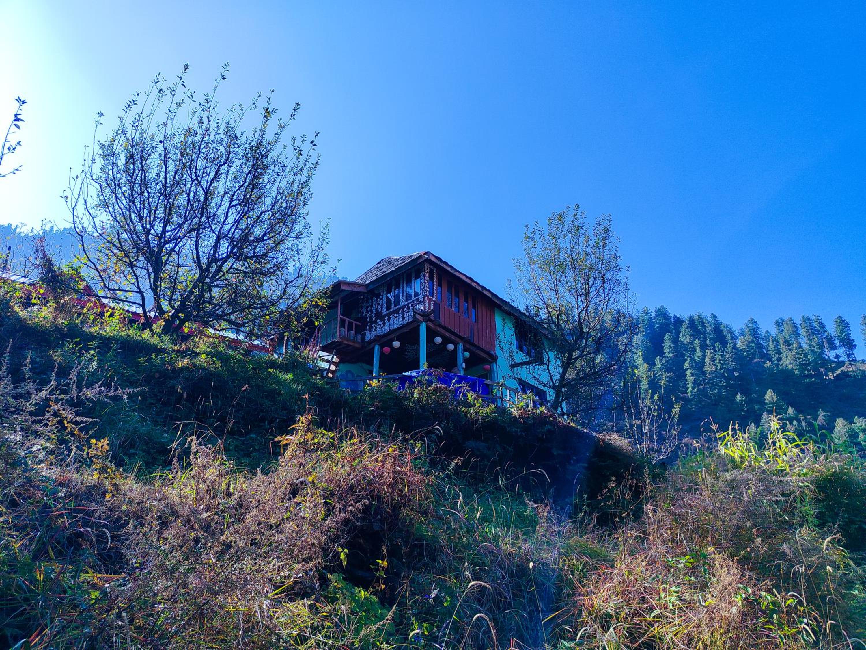 Shivadelic Duniya