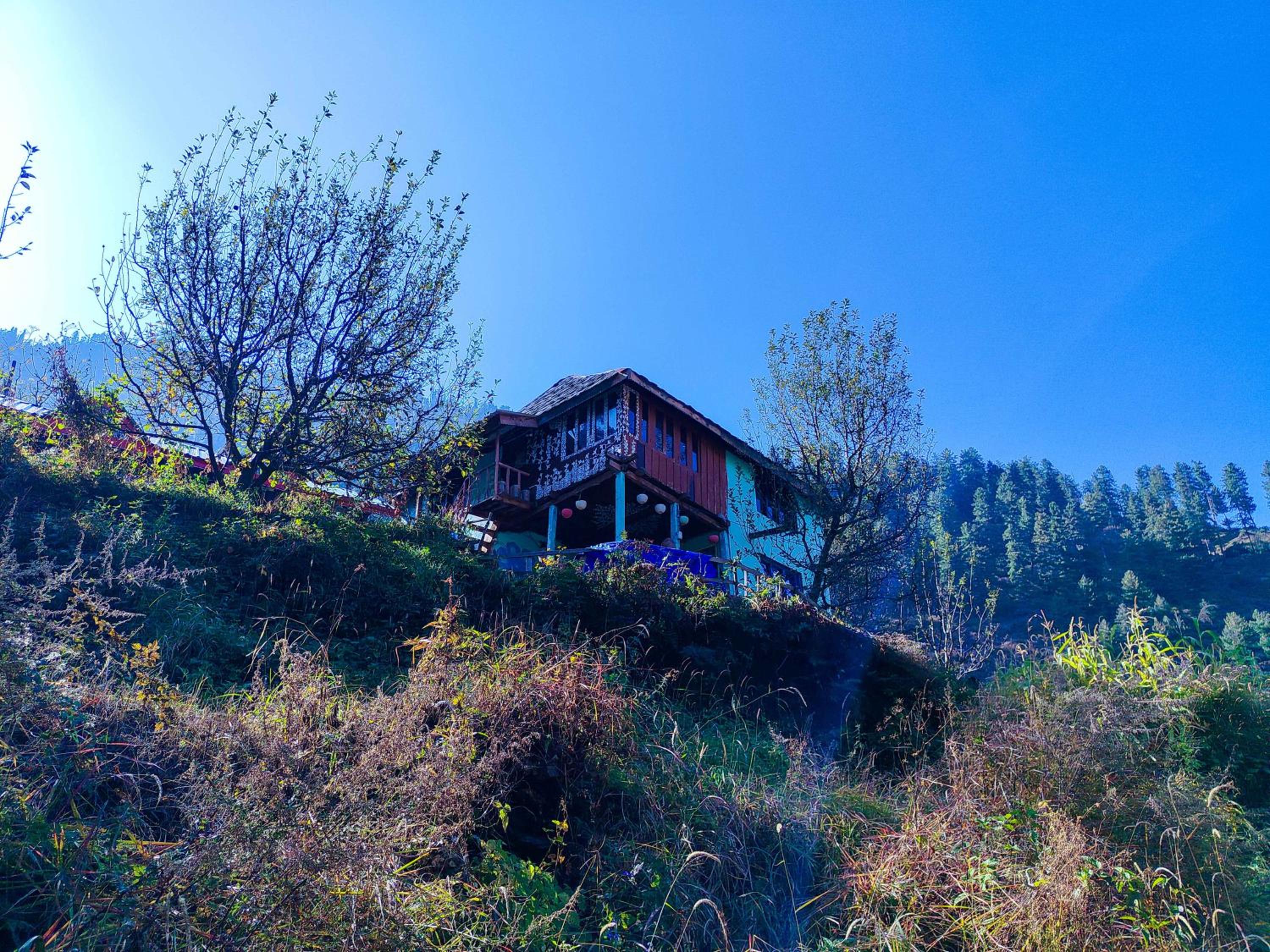 Shivadelic Duniya
