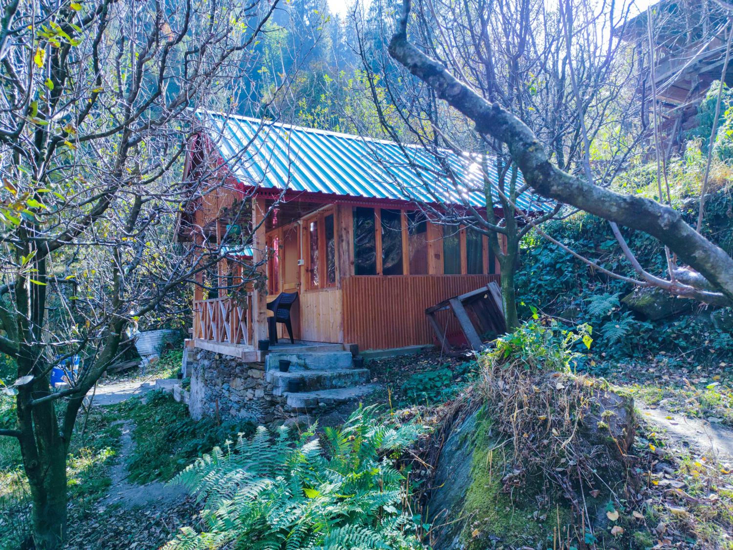Shivadelic Duniya