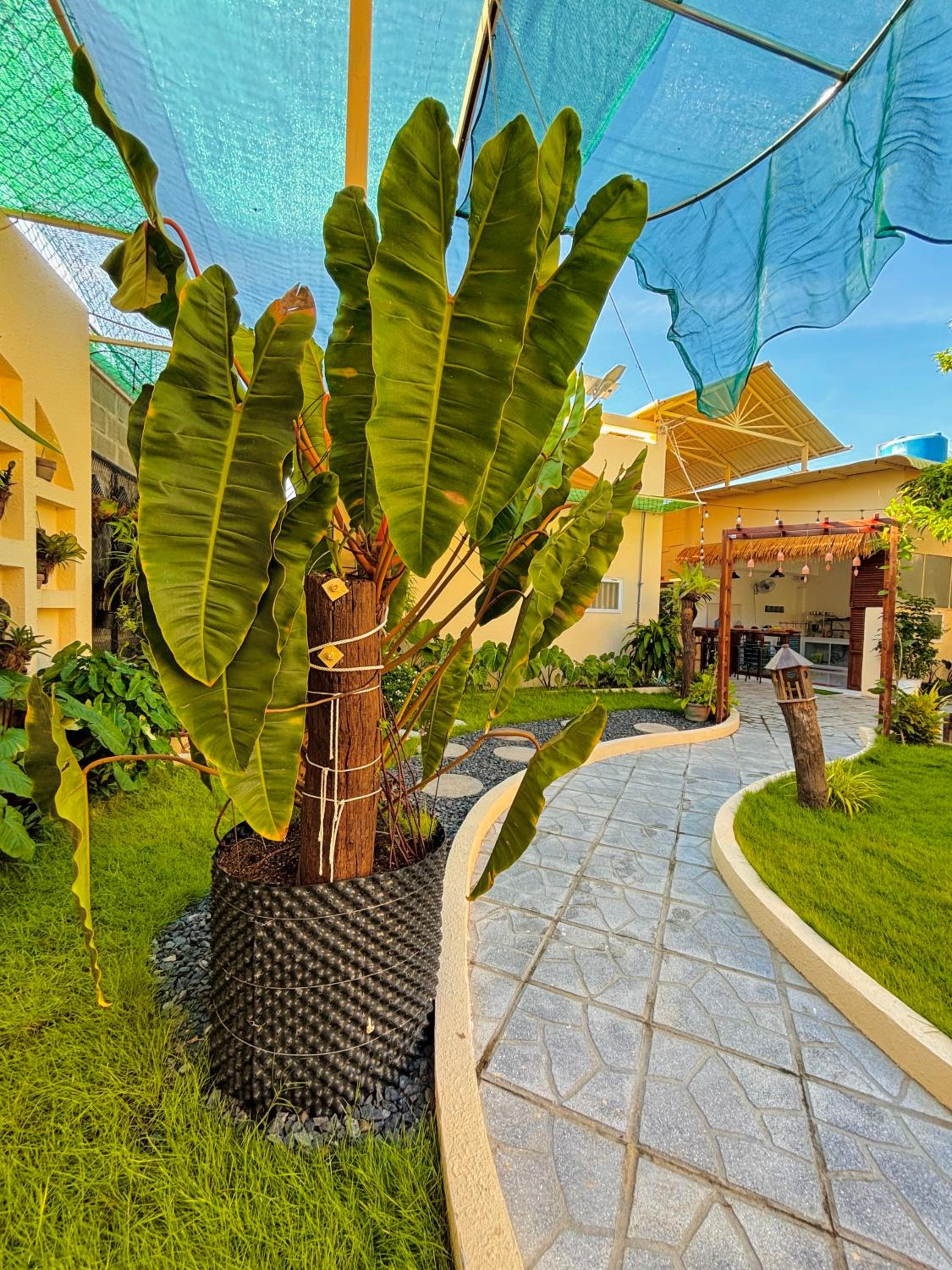 Cá Homestay Mũi Né