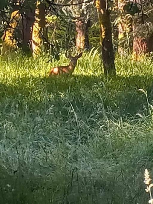 30 Peaceful Acres view 2