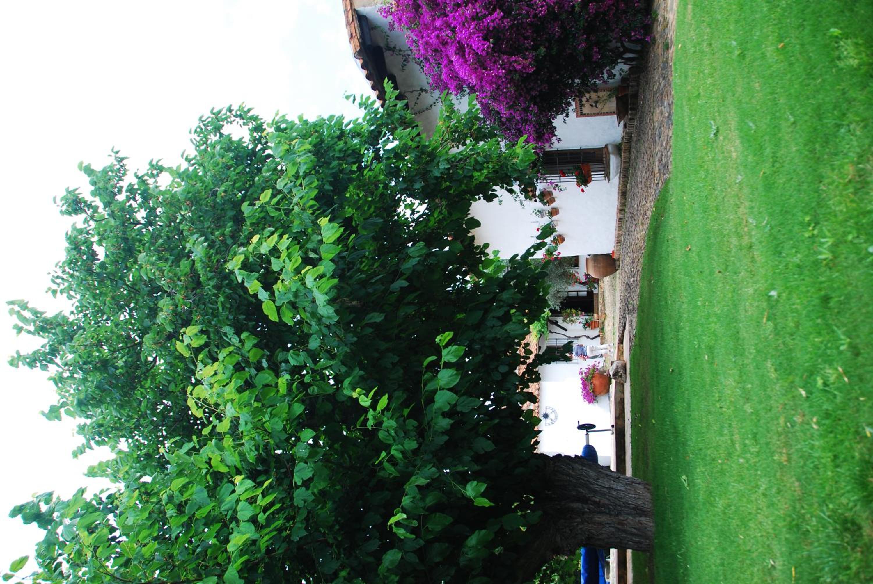 La Caldera Vieja