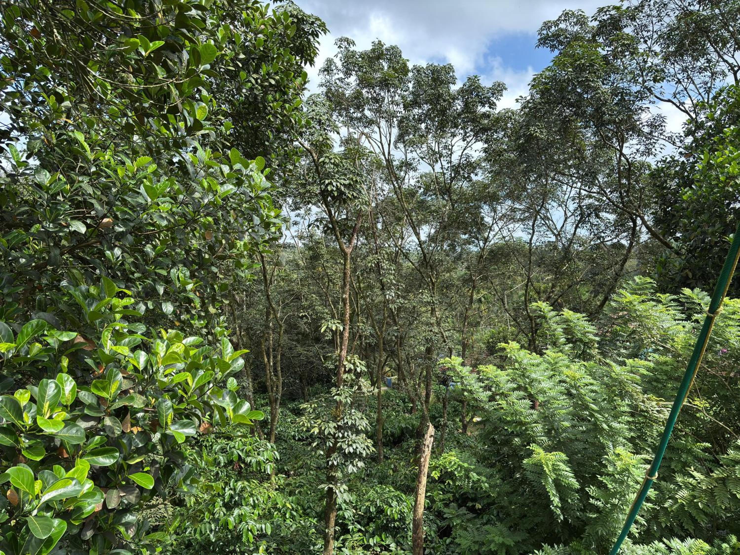 prauvilla Homestay 2 view 5