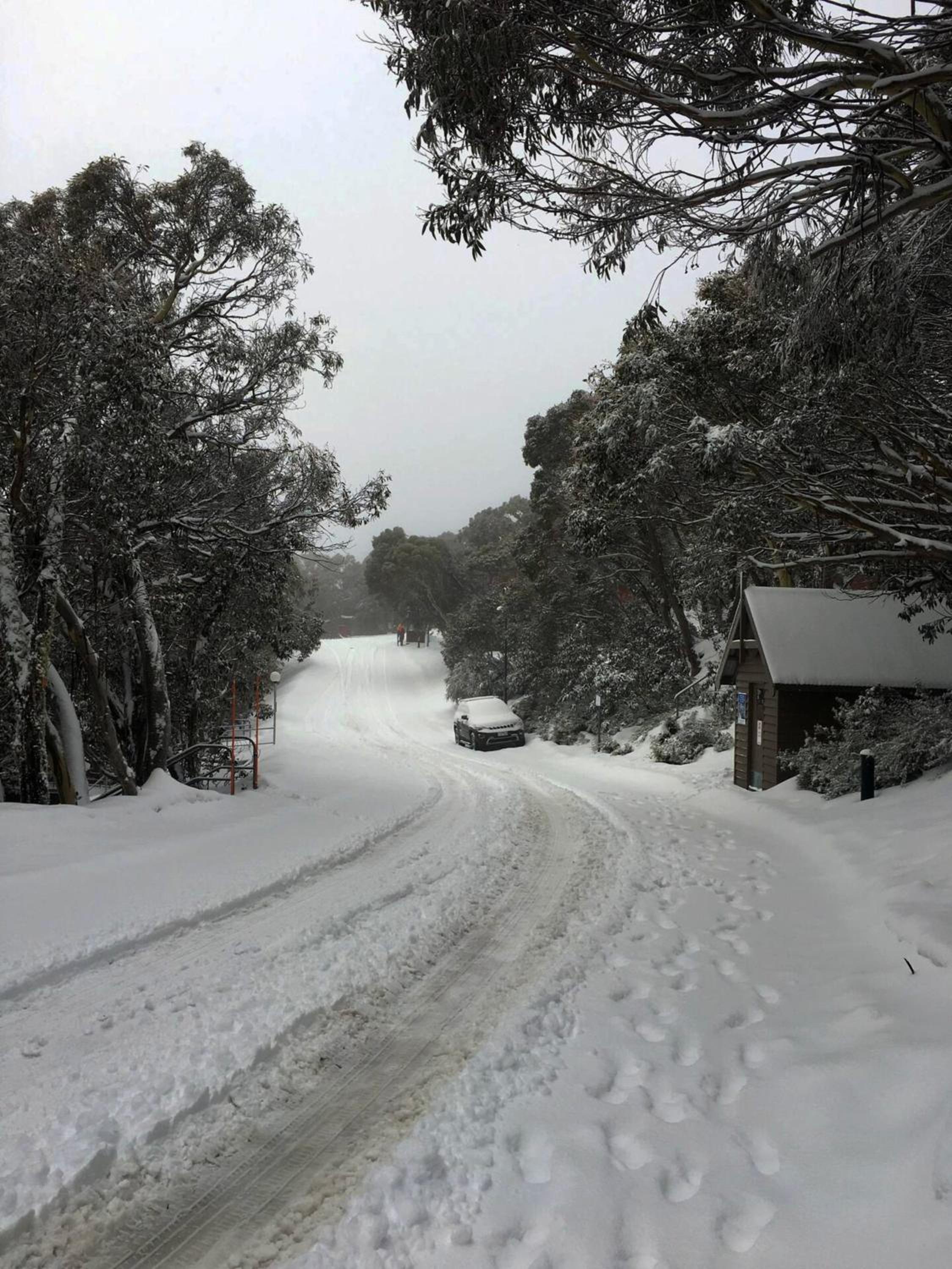 Spacious Mount Buller Chalet Sleeps 12