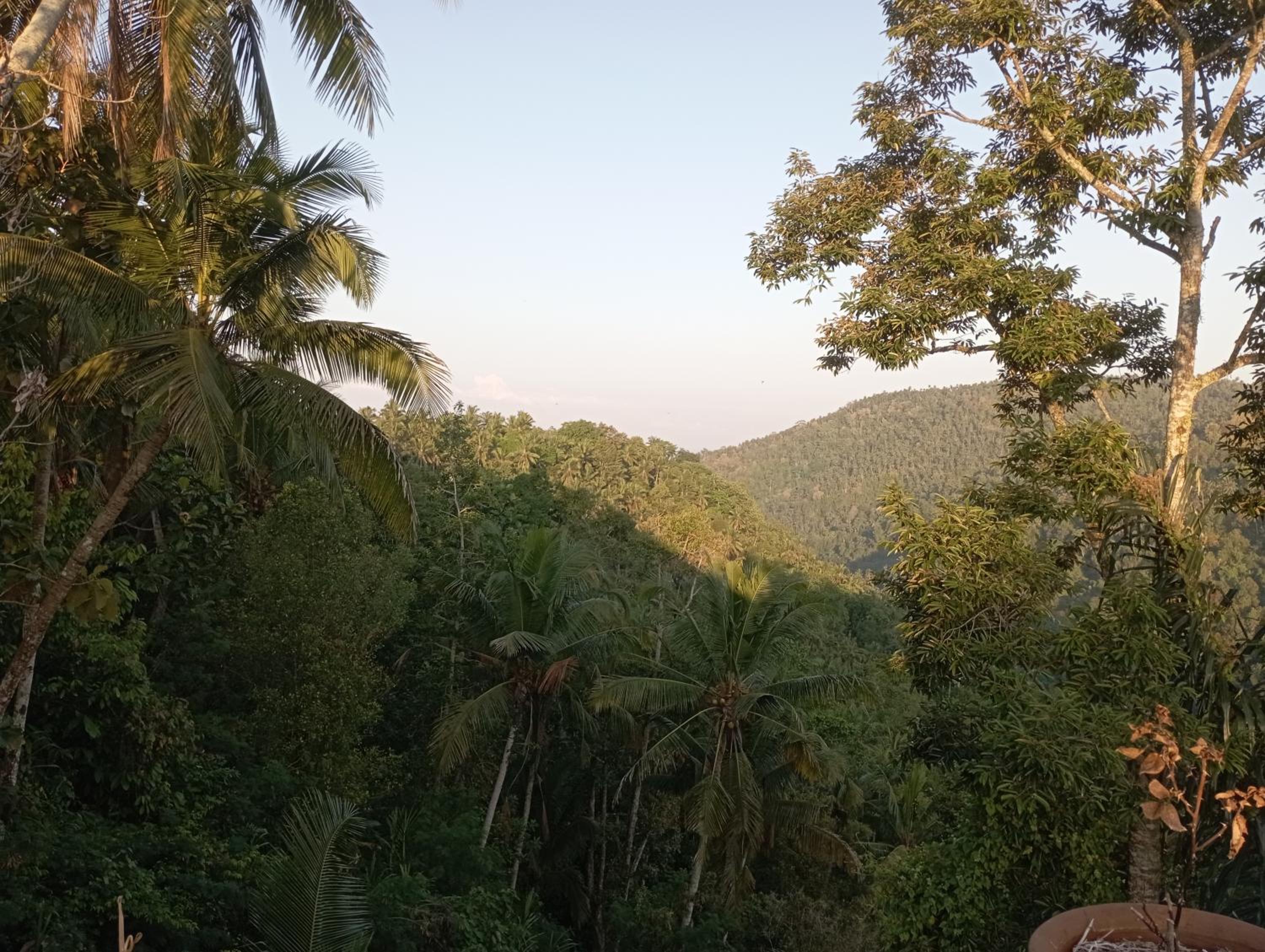 Permaculture house2 view 3