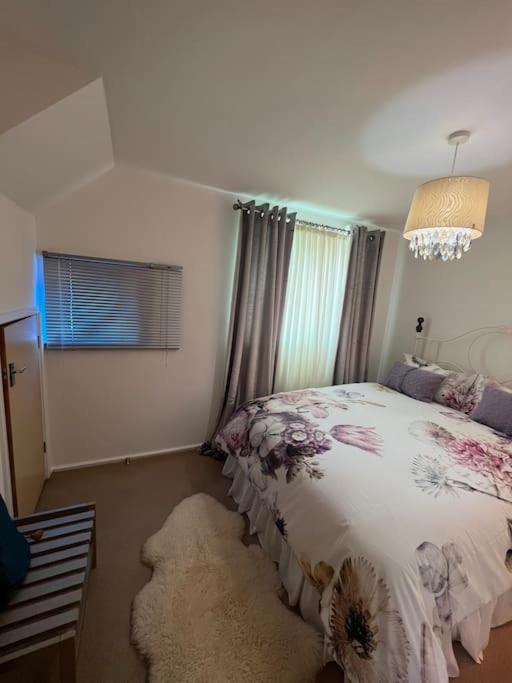 Freddies Boutique Retreat Near Porthcawl