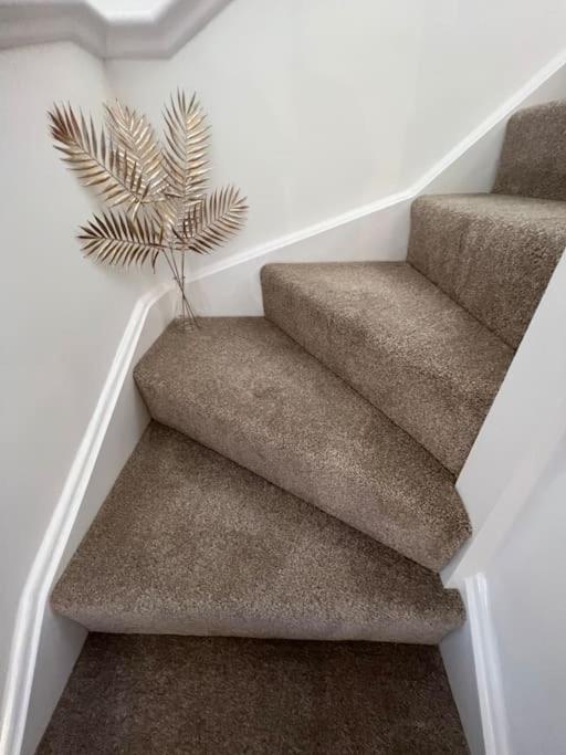 Freddies Boutique Retreat Near Porthcawl