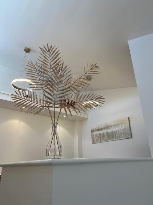 Freddies Boutique Retreat Near Porthcawl