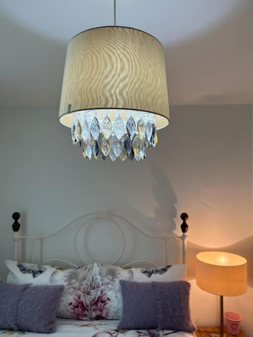 Freddies Boutique Retreat Near Porthcawl