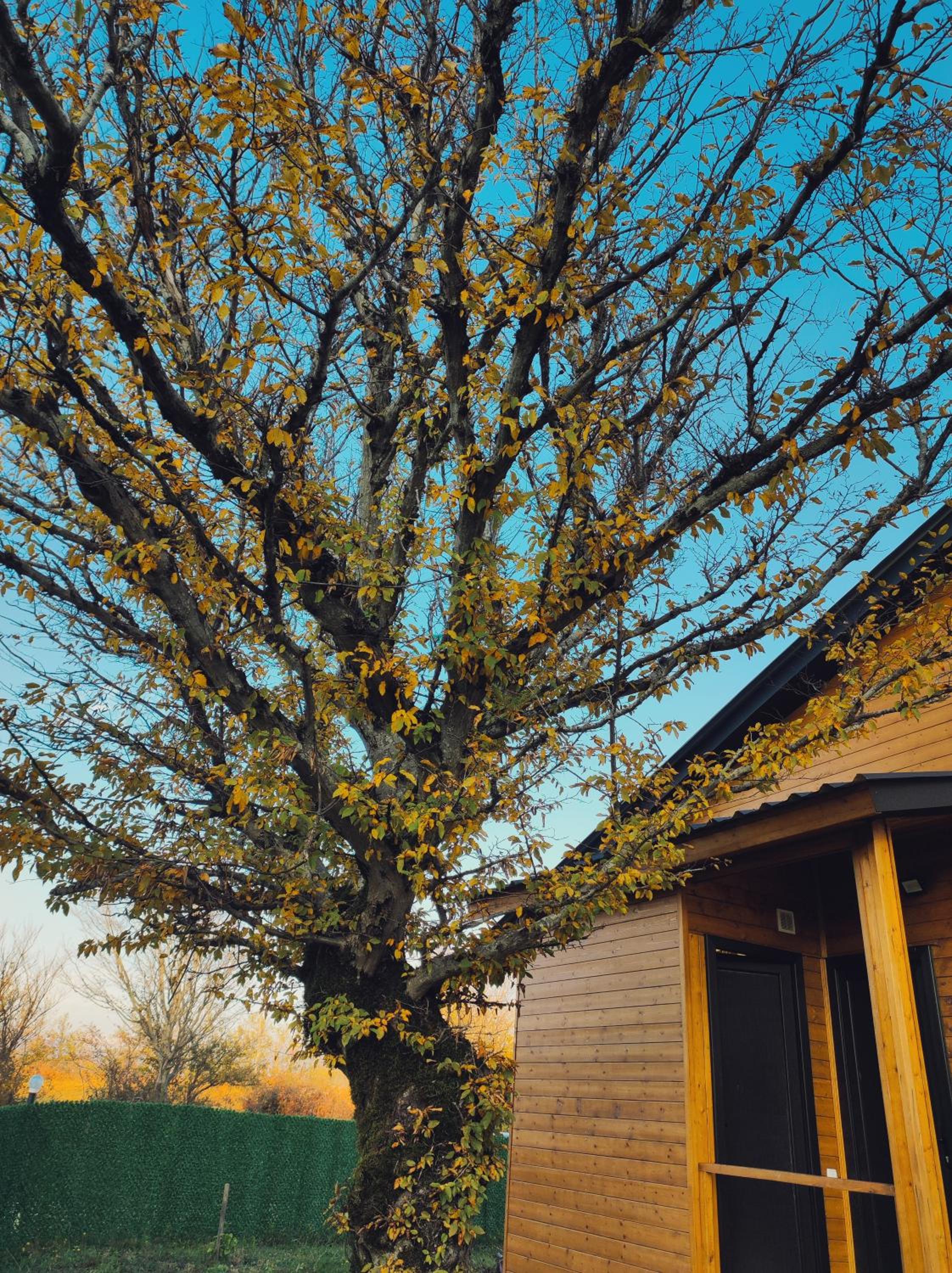 Wooden Villa Sormoni