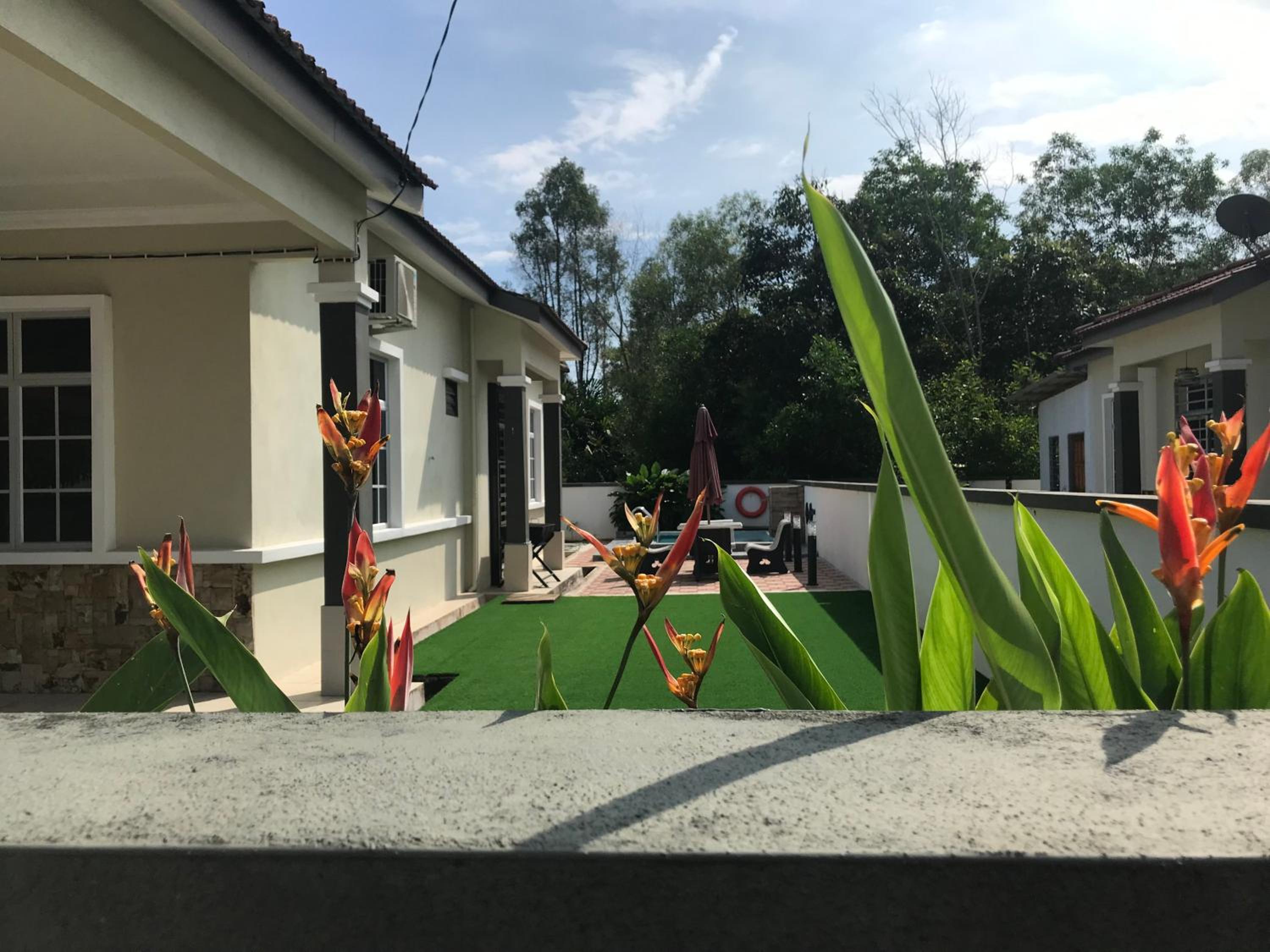 DeCherating privatepool photo 2