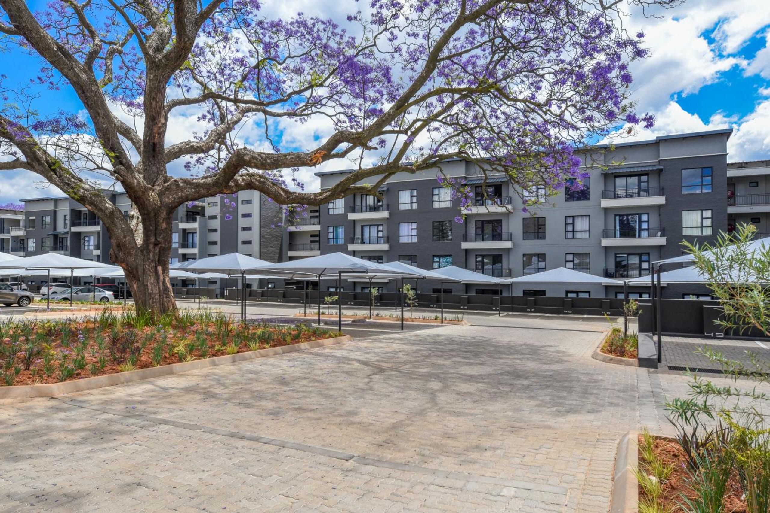 Mediterranean Oasis - near Rosebank