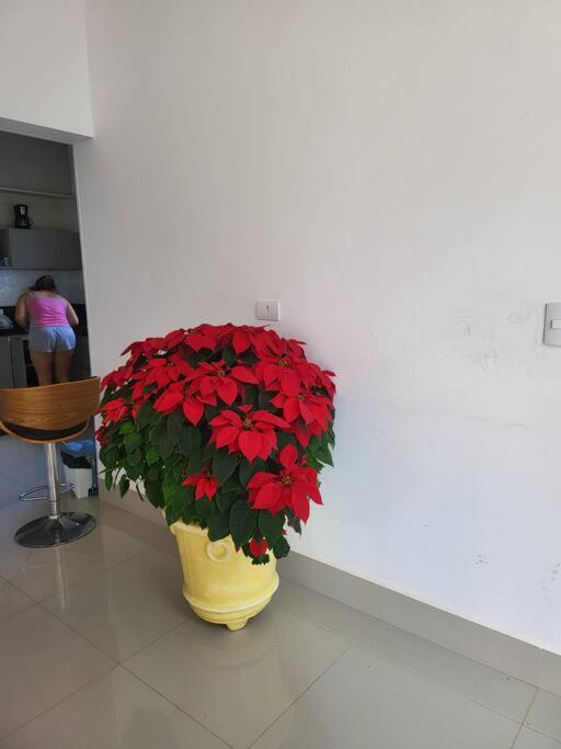 Casa de campo em paranapanema