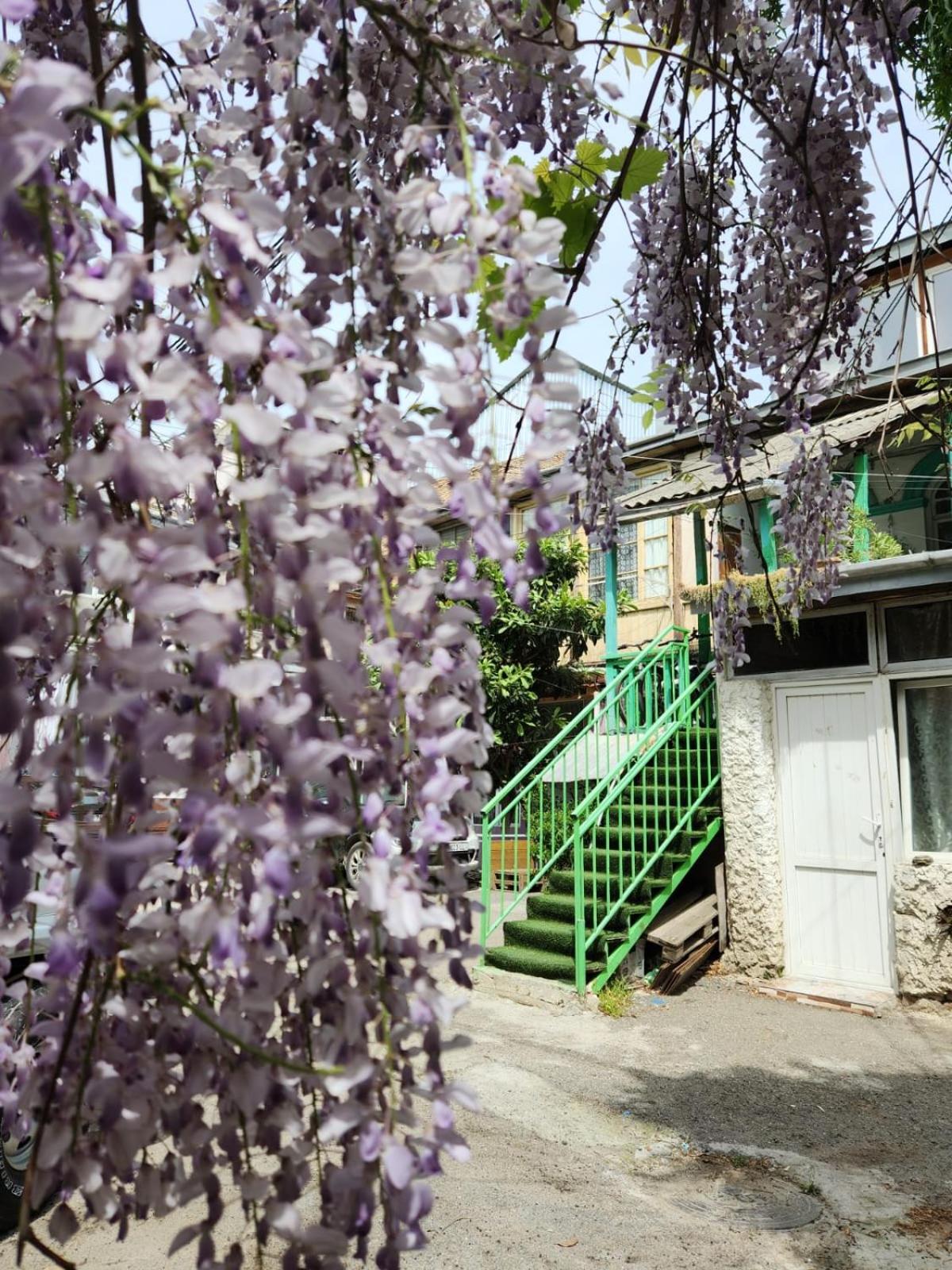 Photo 47