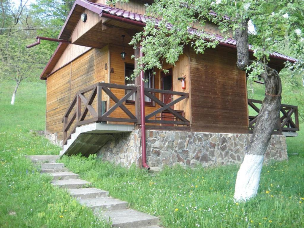 Kvasnyi