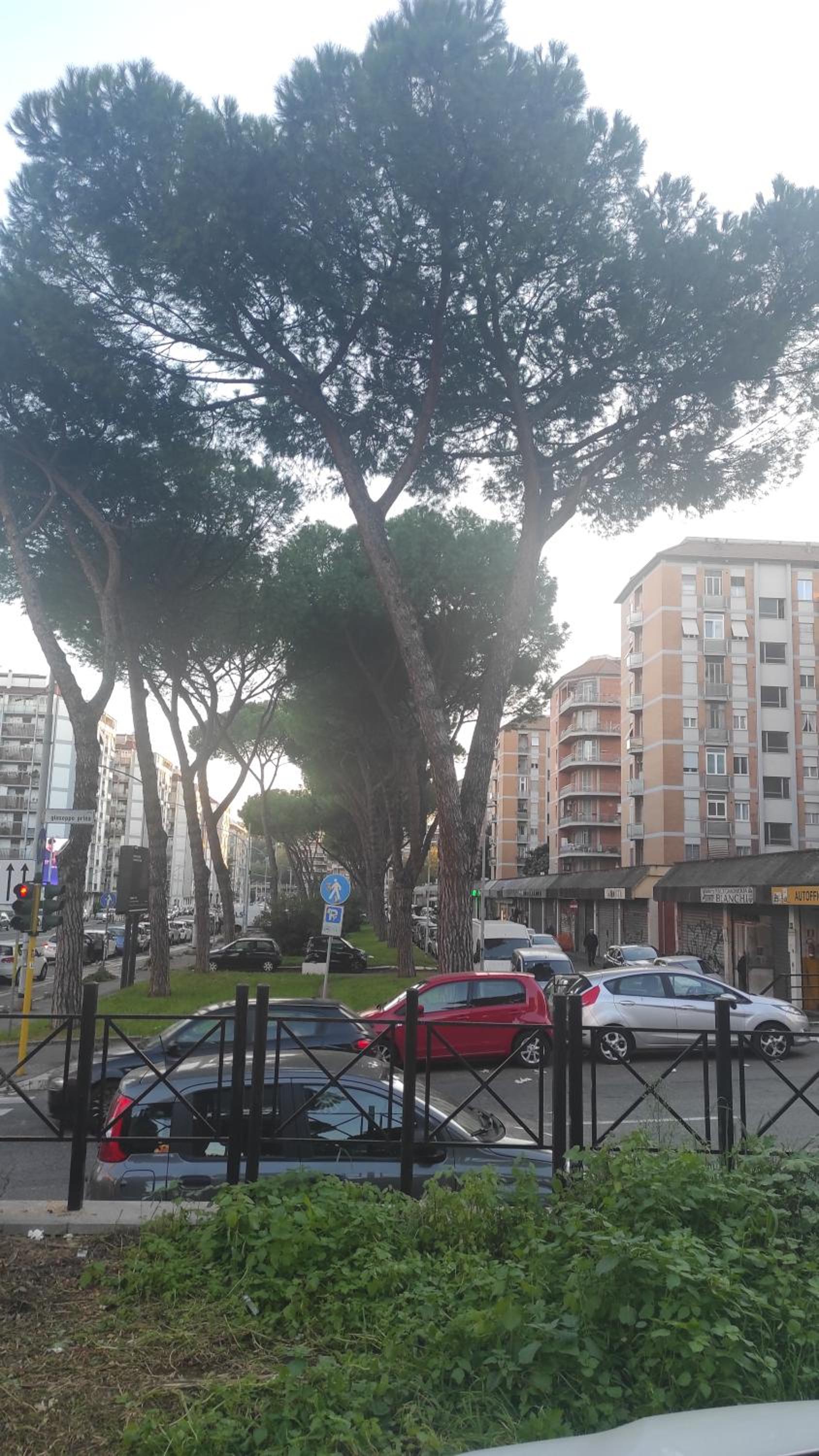 Alloggio Vimercati 45