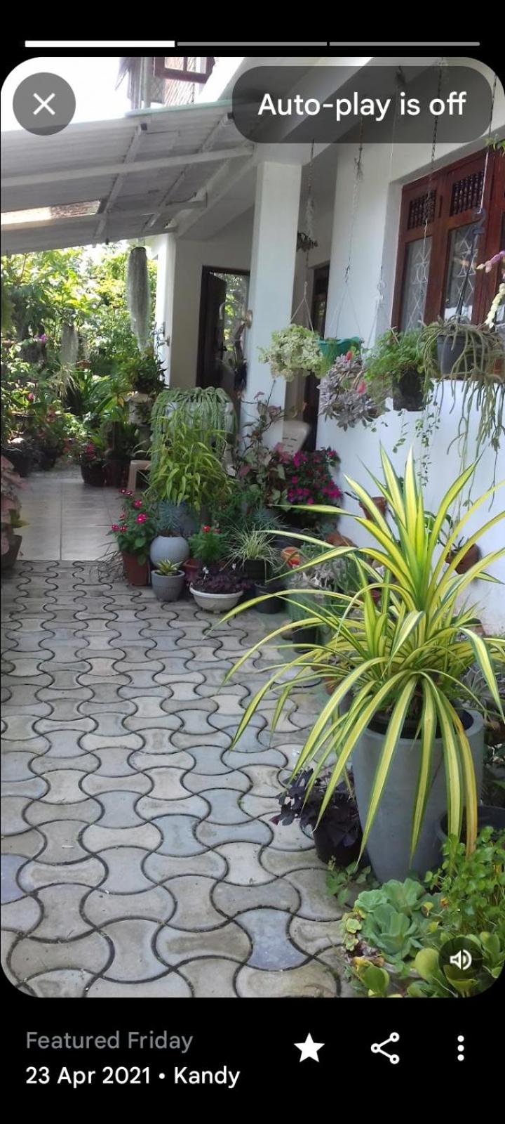 Bliss vila