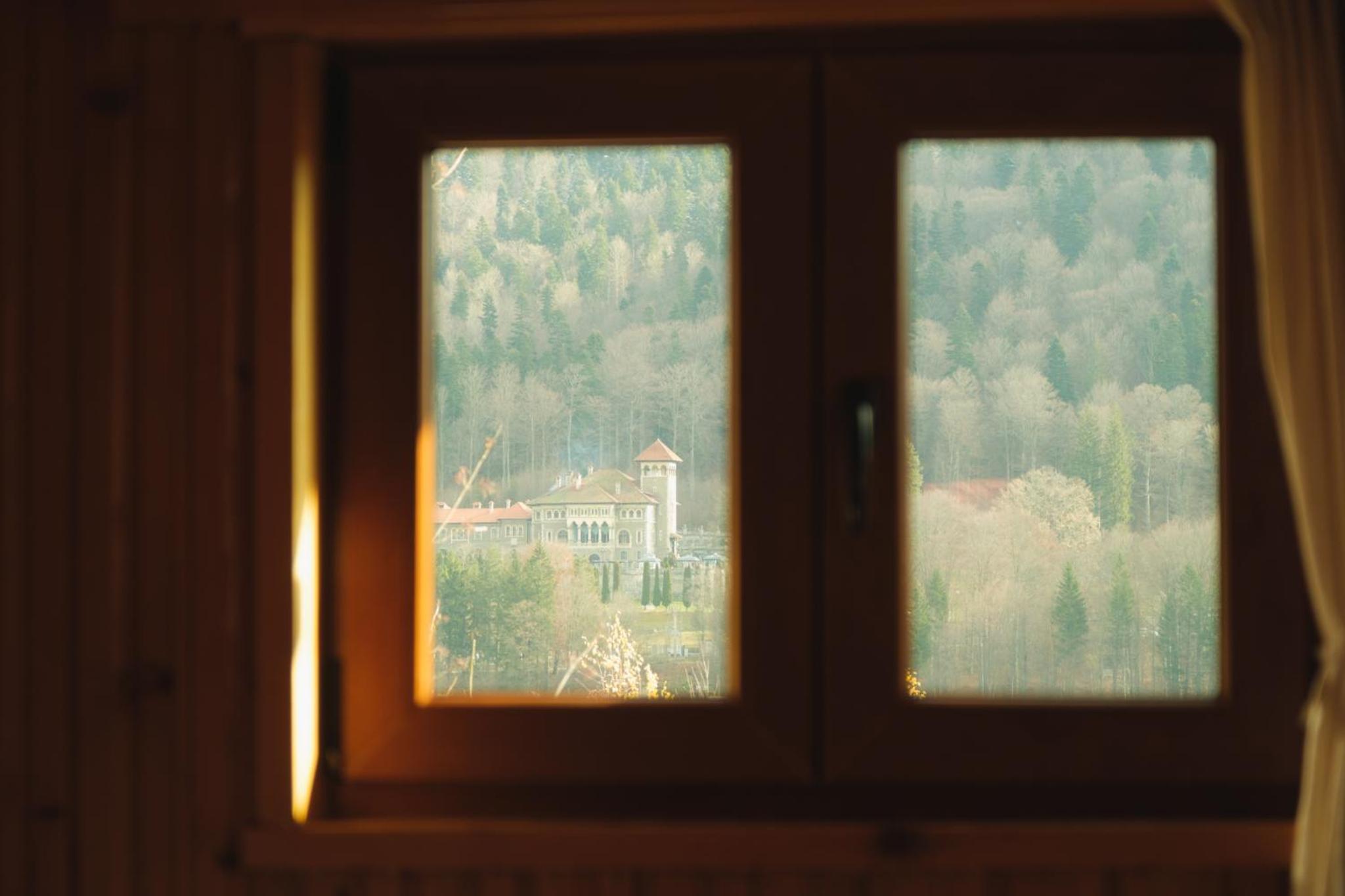 Mountain View Cabin view 3