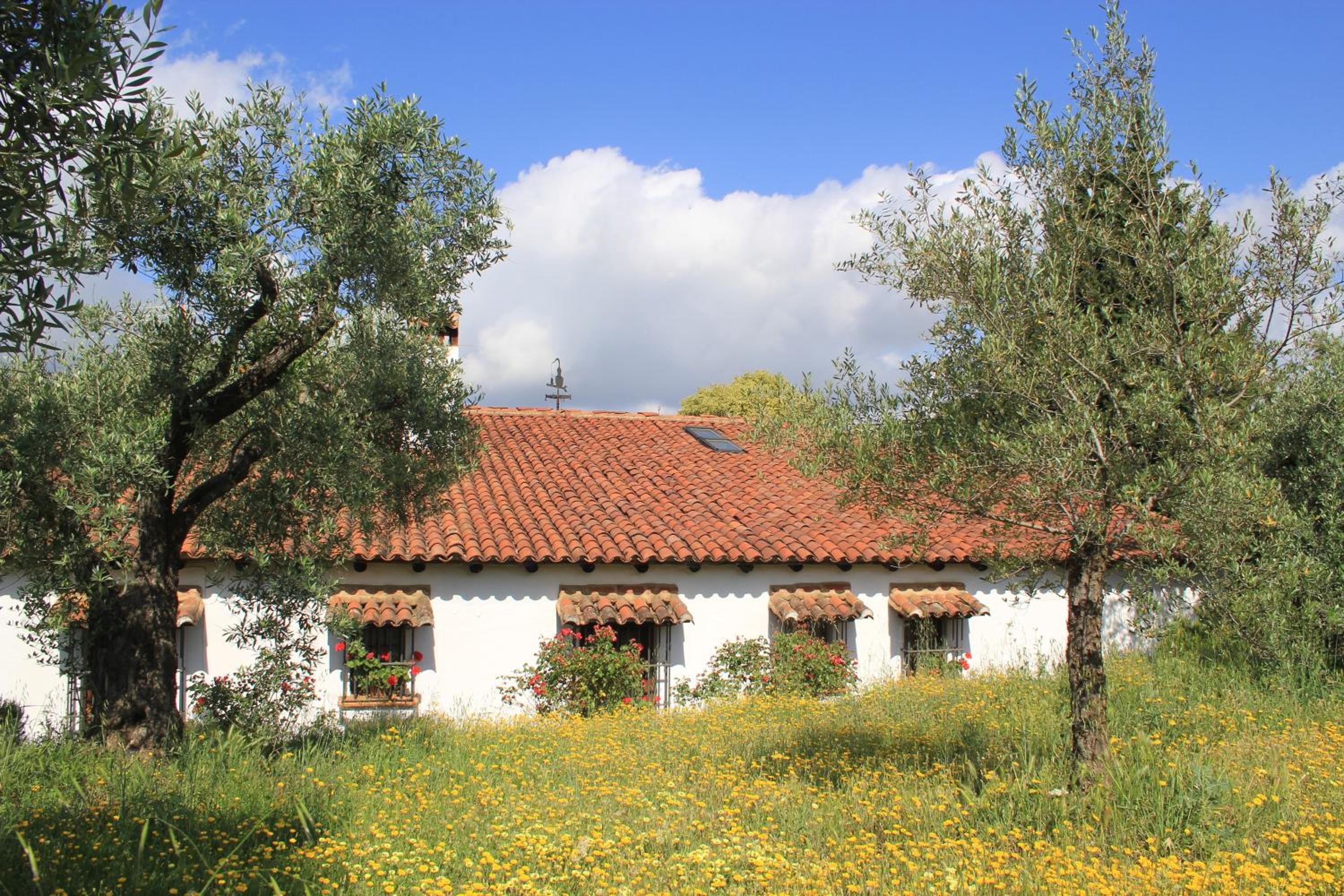 La Caldera Vieja