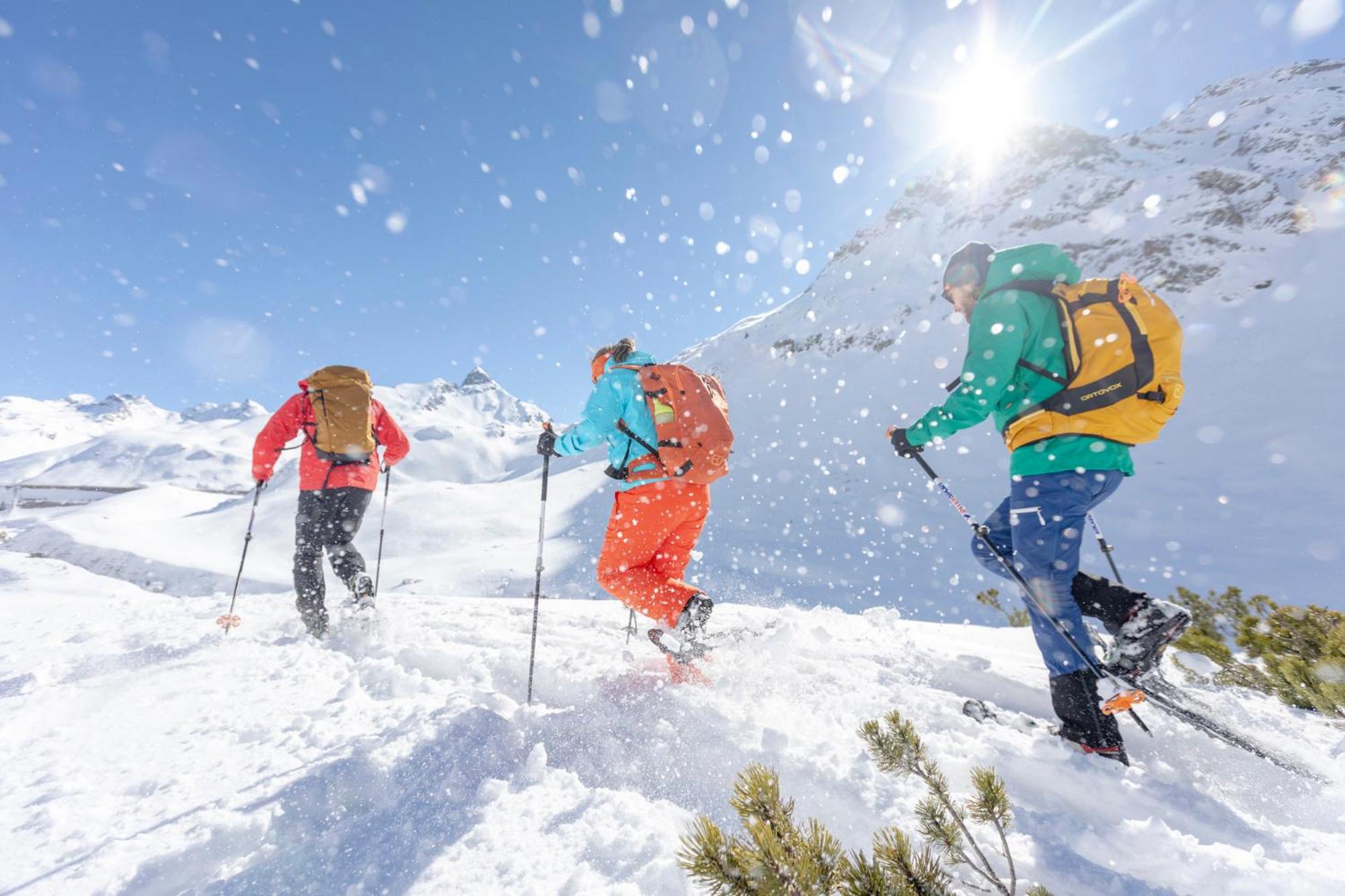 das Neni - das bioChalet im Montafon