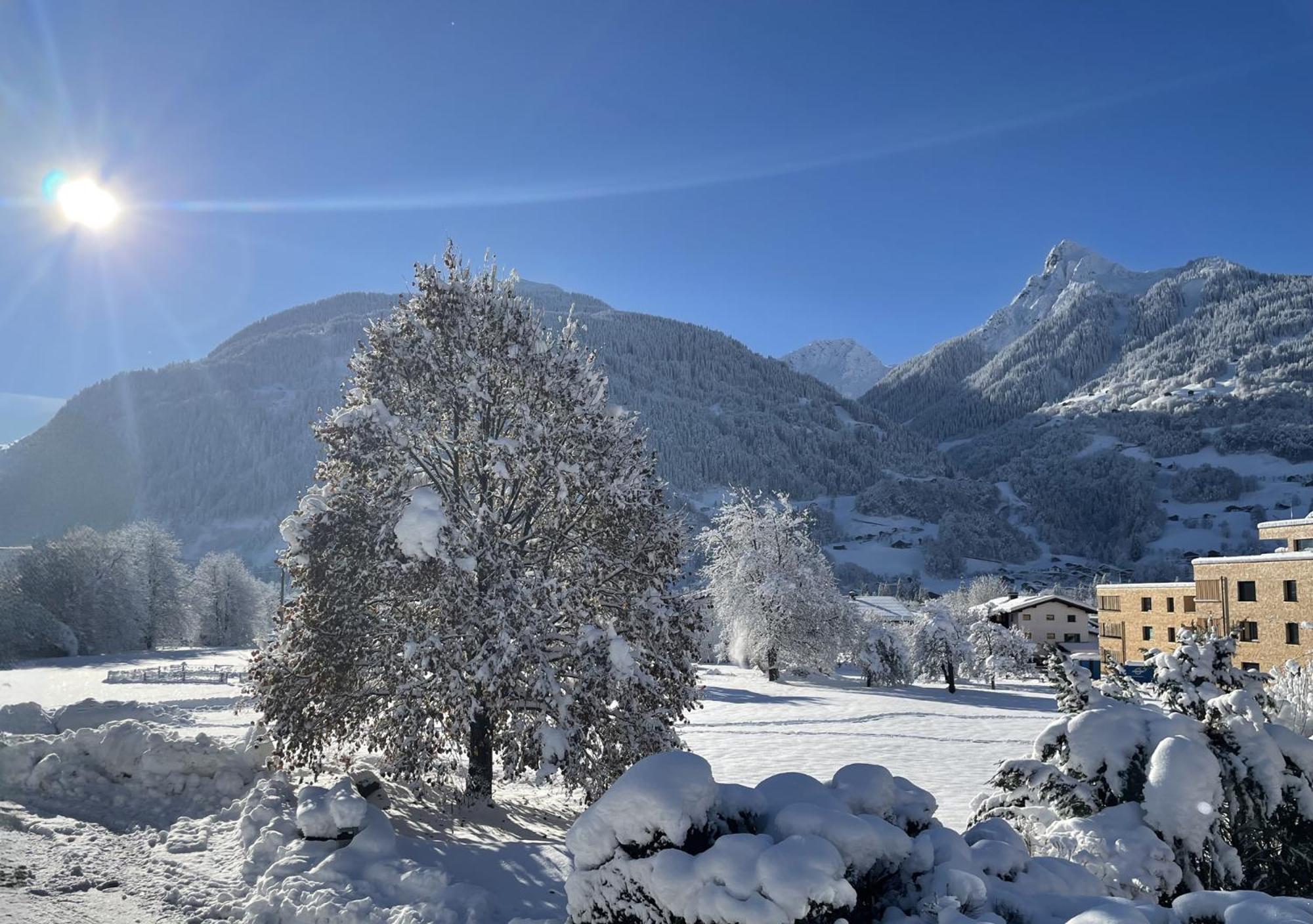 das Neni - das bioChalet im Montafon