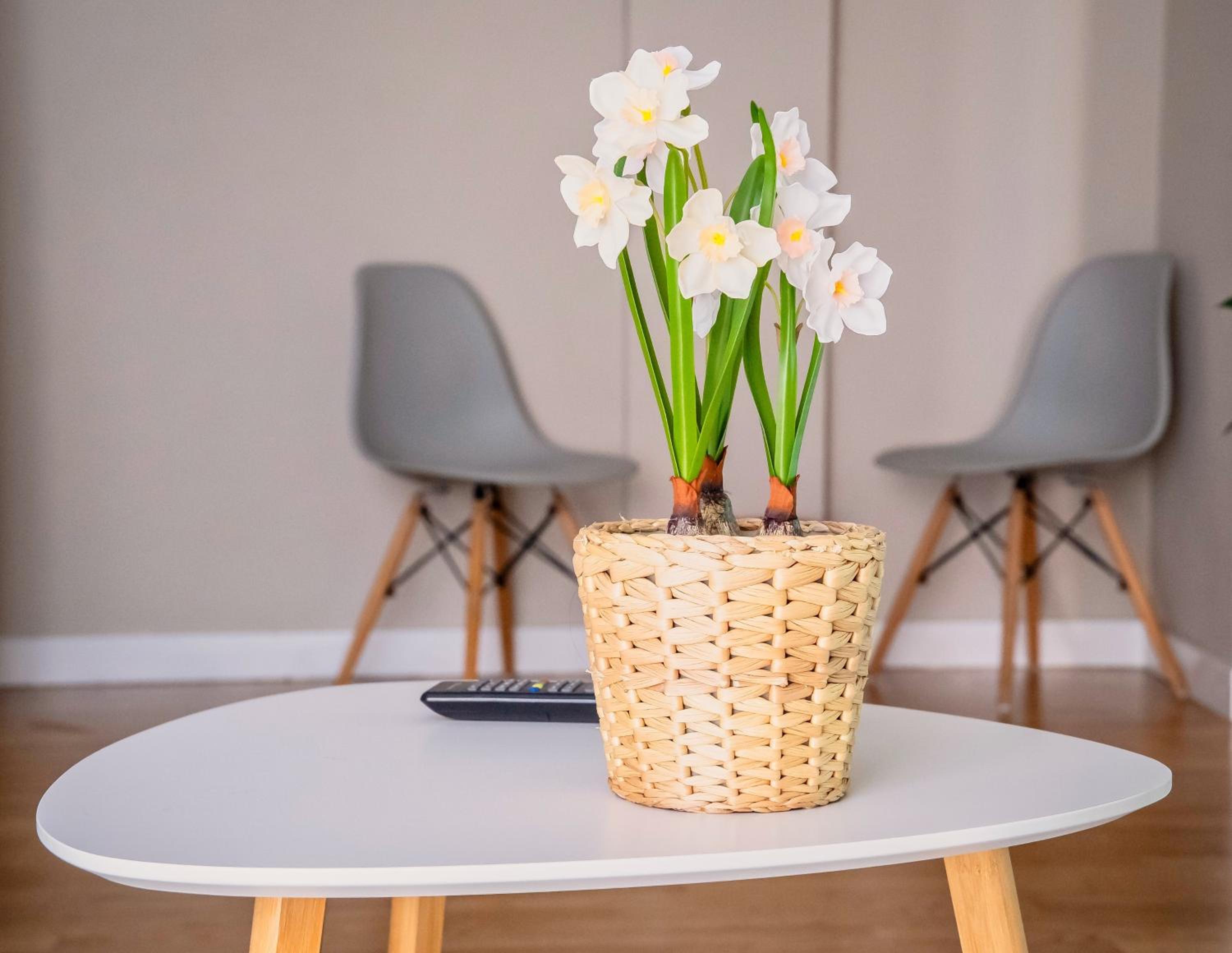Santiago Tower Aire Ac casco antiguo By Apartamentos Logrono