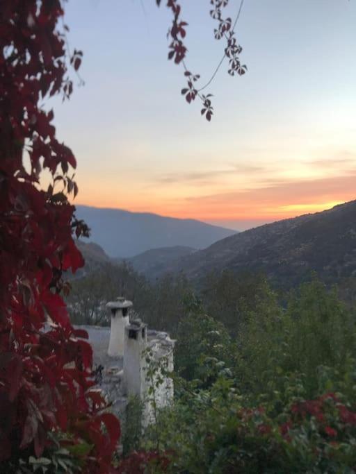 Retiro en la Alpujarra
