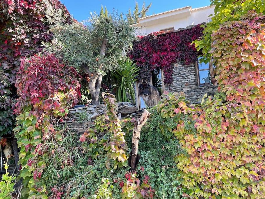 Retiro en la Alpujarra