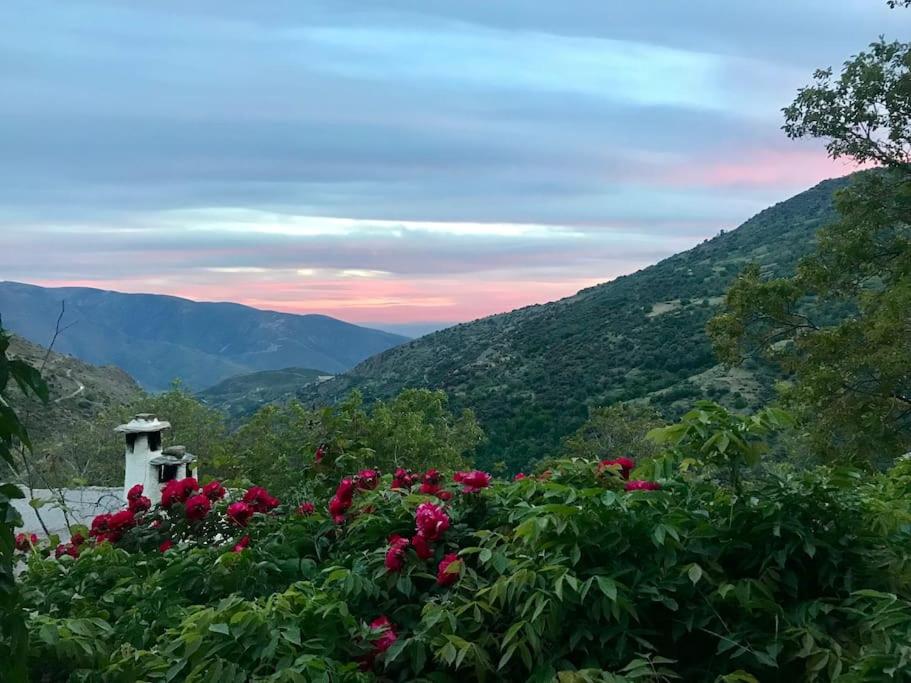 Retiro en la Alpujarra