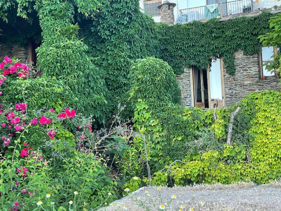 Retiro en la Alpujarra