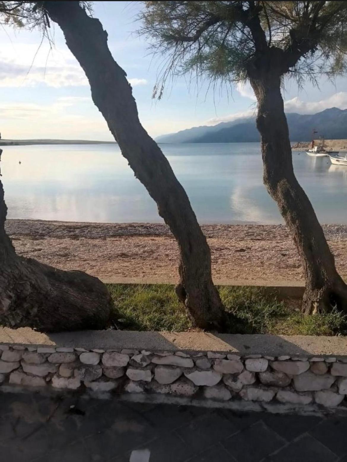 Valerie's Holiday Home view 4