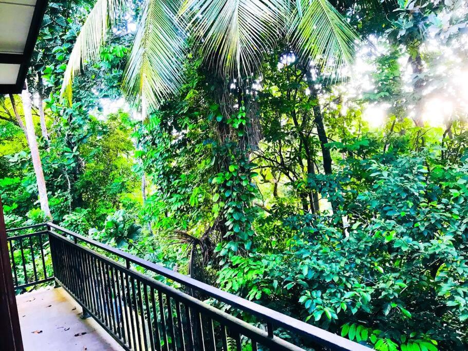 The Villa High Trees SL view 3