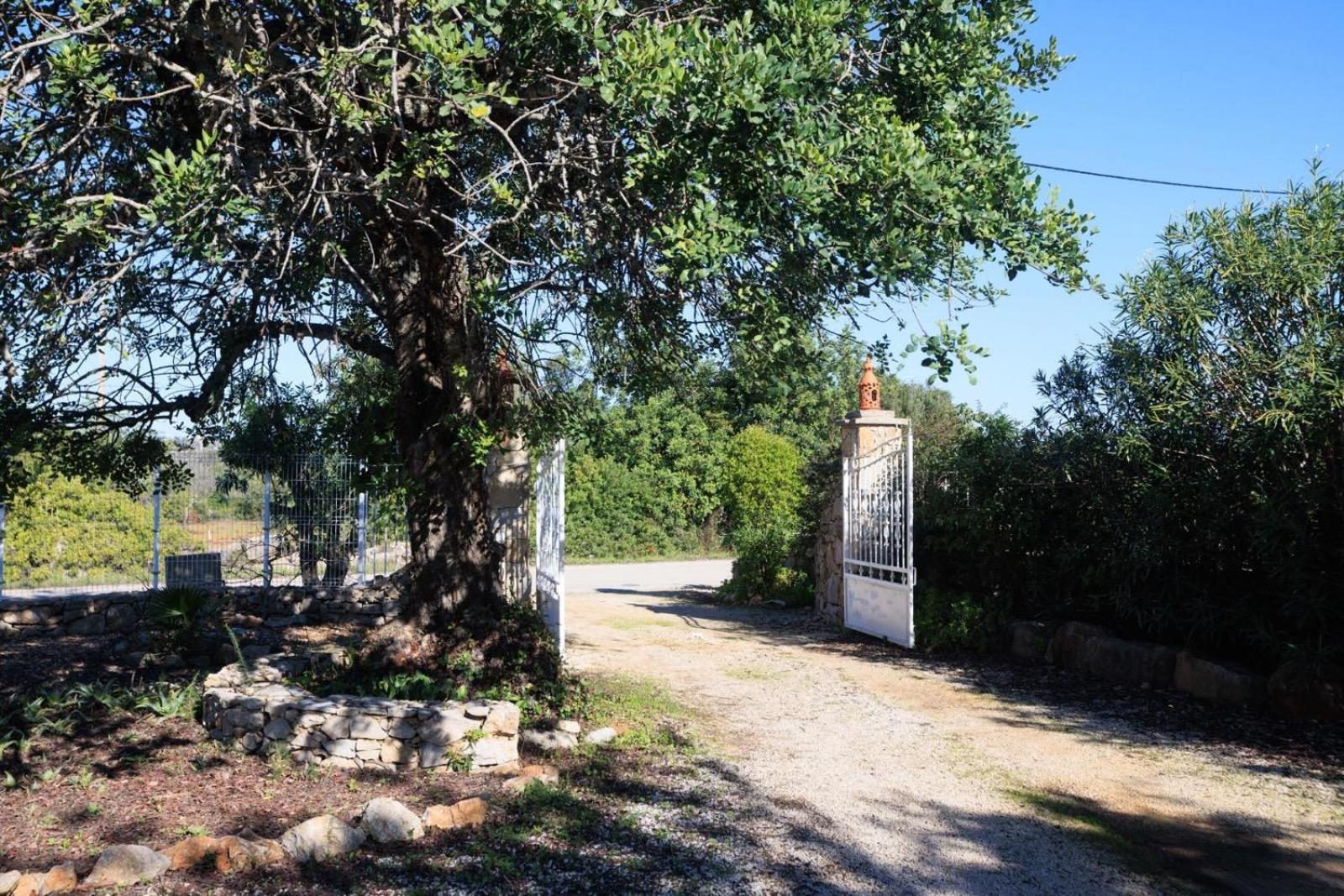 Casa dos Avos