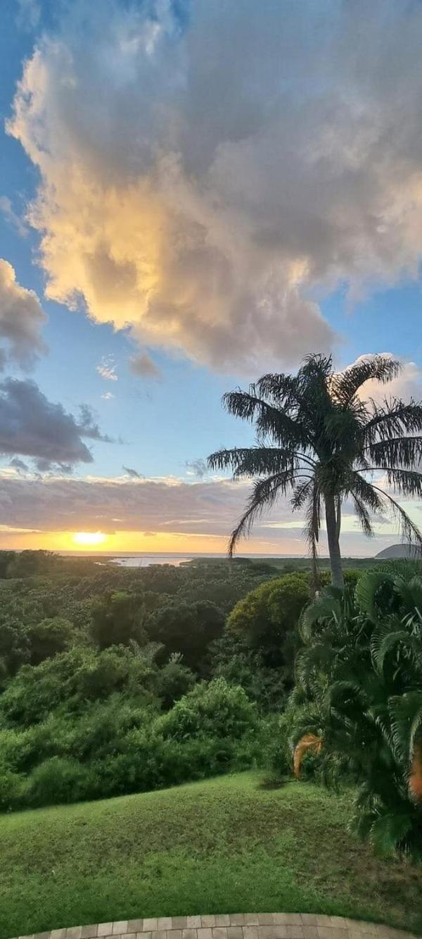 Little Eden Apartments St Lucia