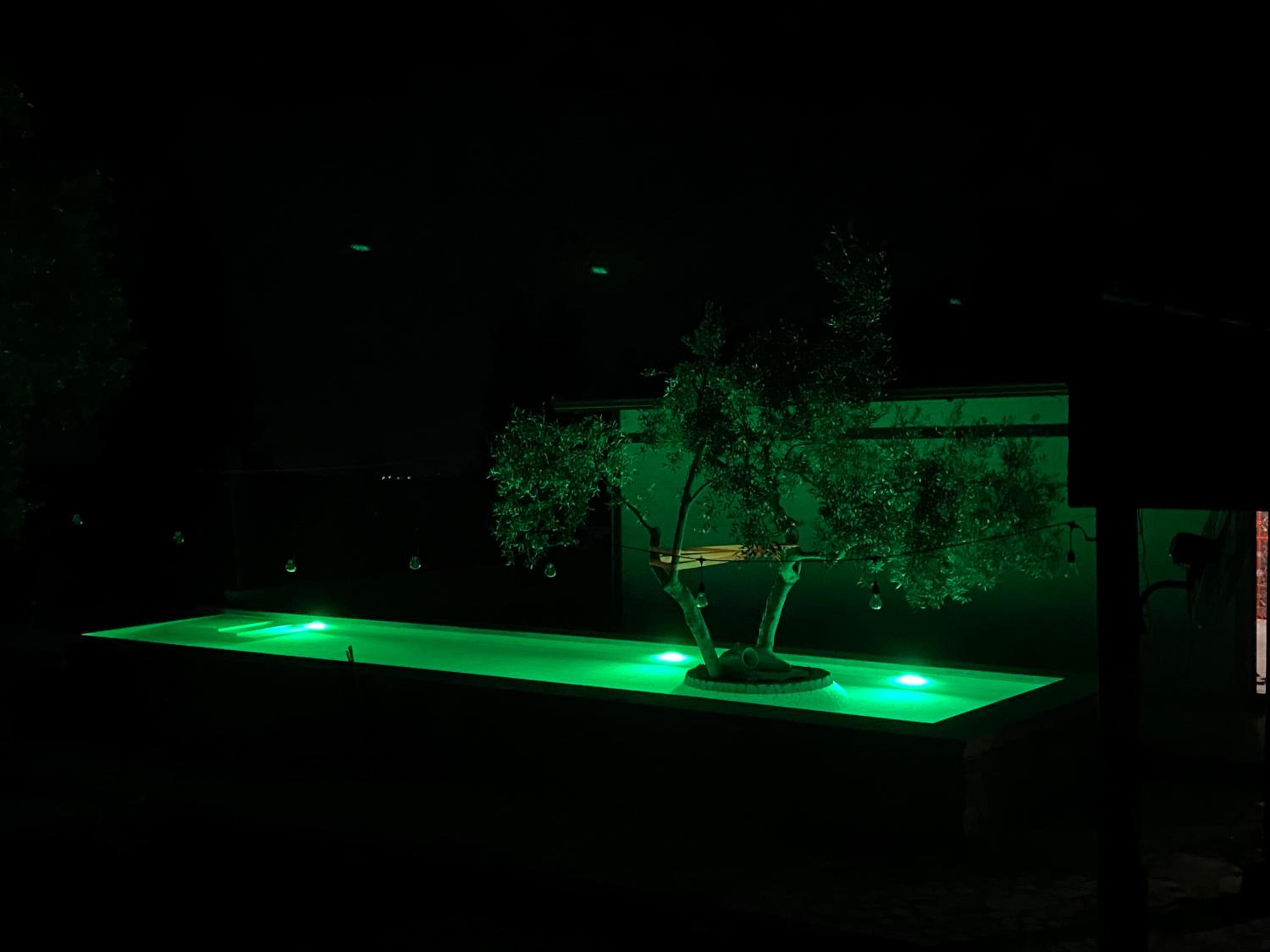 Art House Kruje