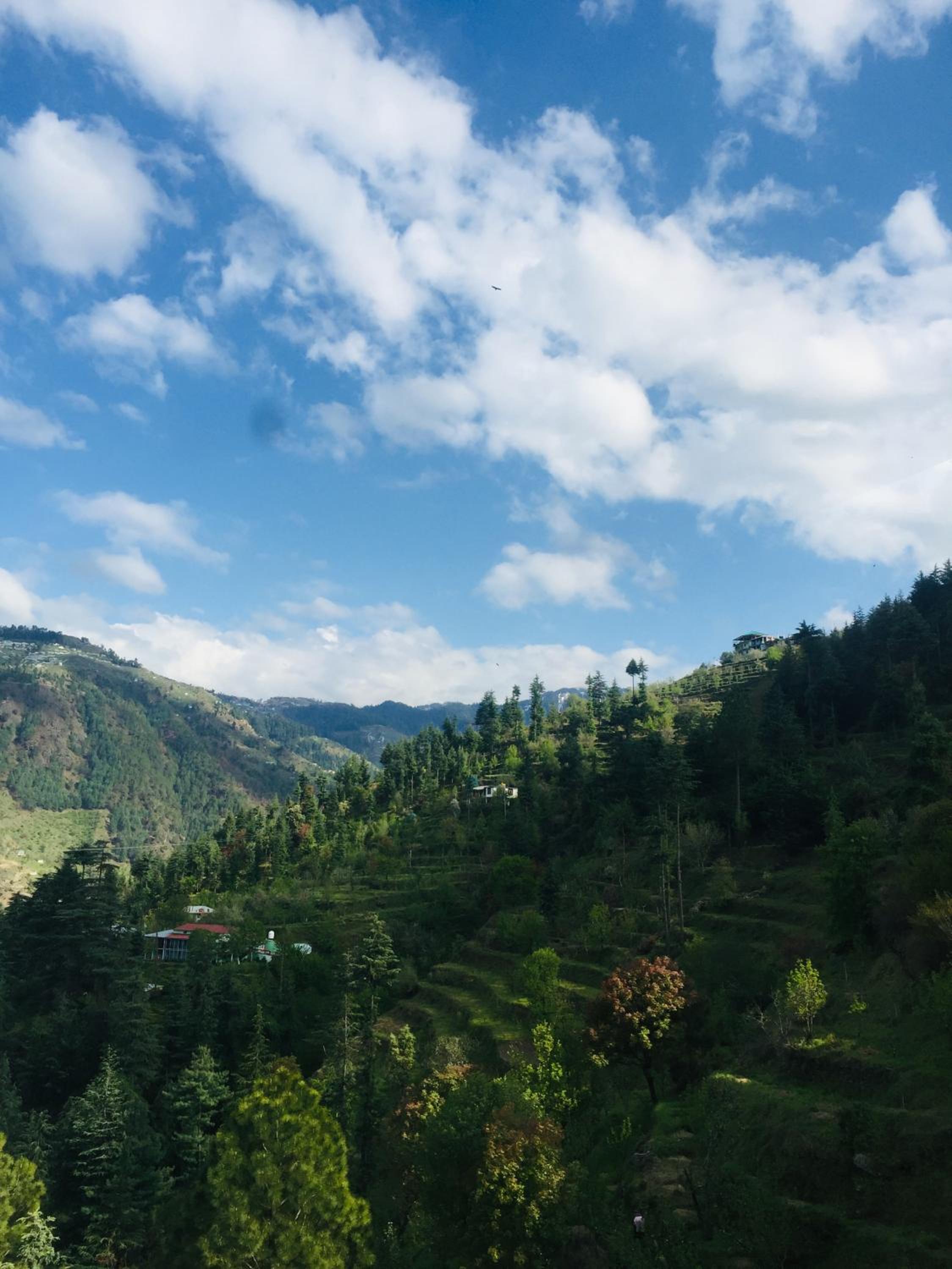 Sunrise View Farm-stay -Narkanda