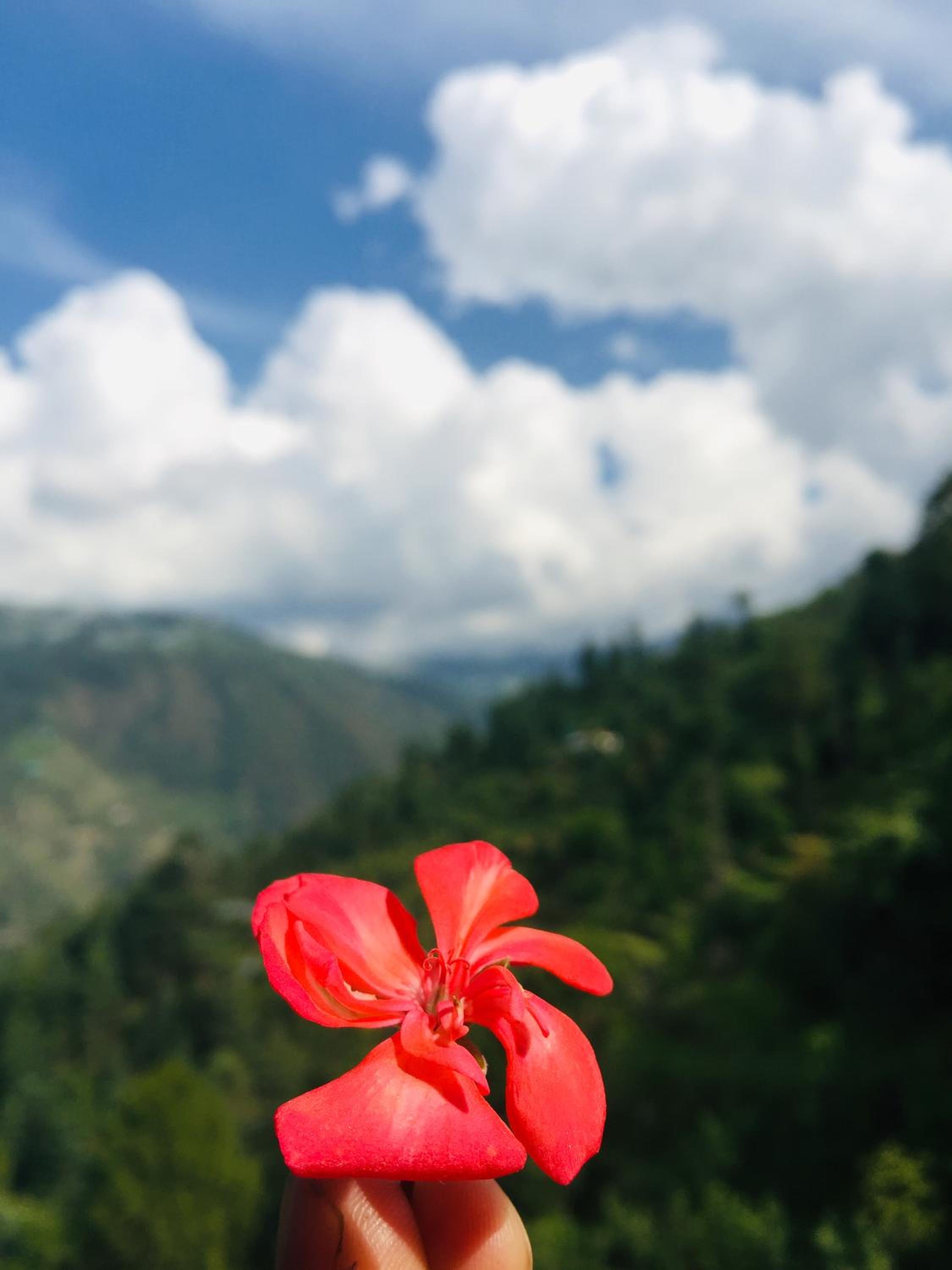 Sunrise View Farm-stay -Narkanda
