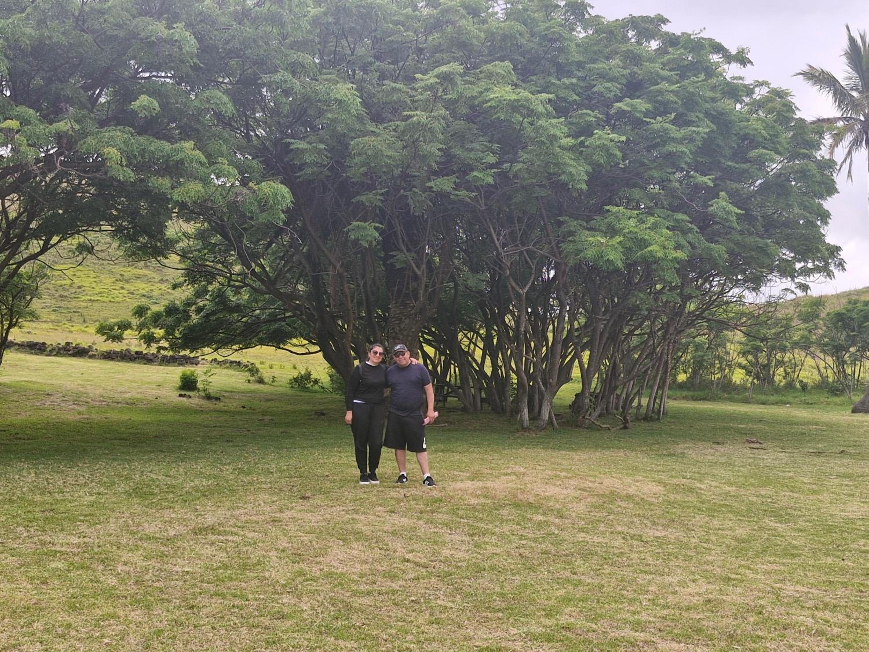 Hostal Makohe Rapa Nui