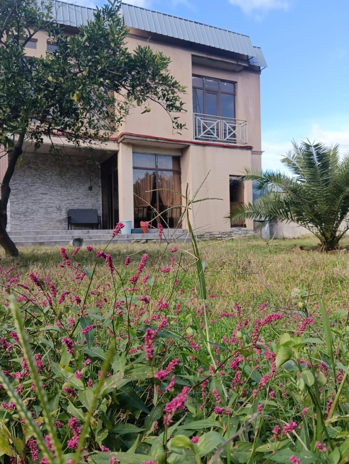 Light inn house Batumi view 2