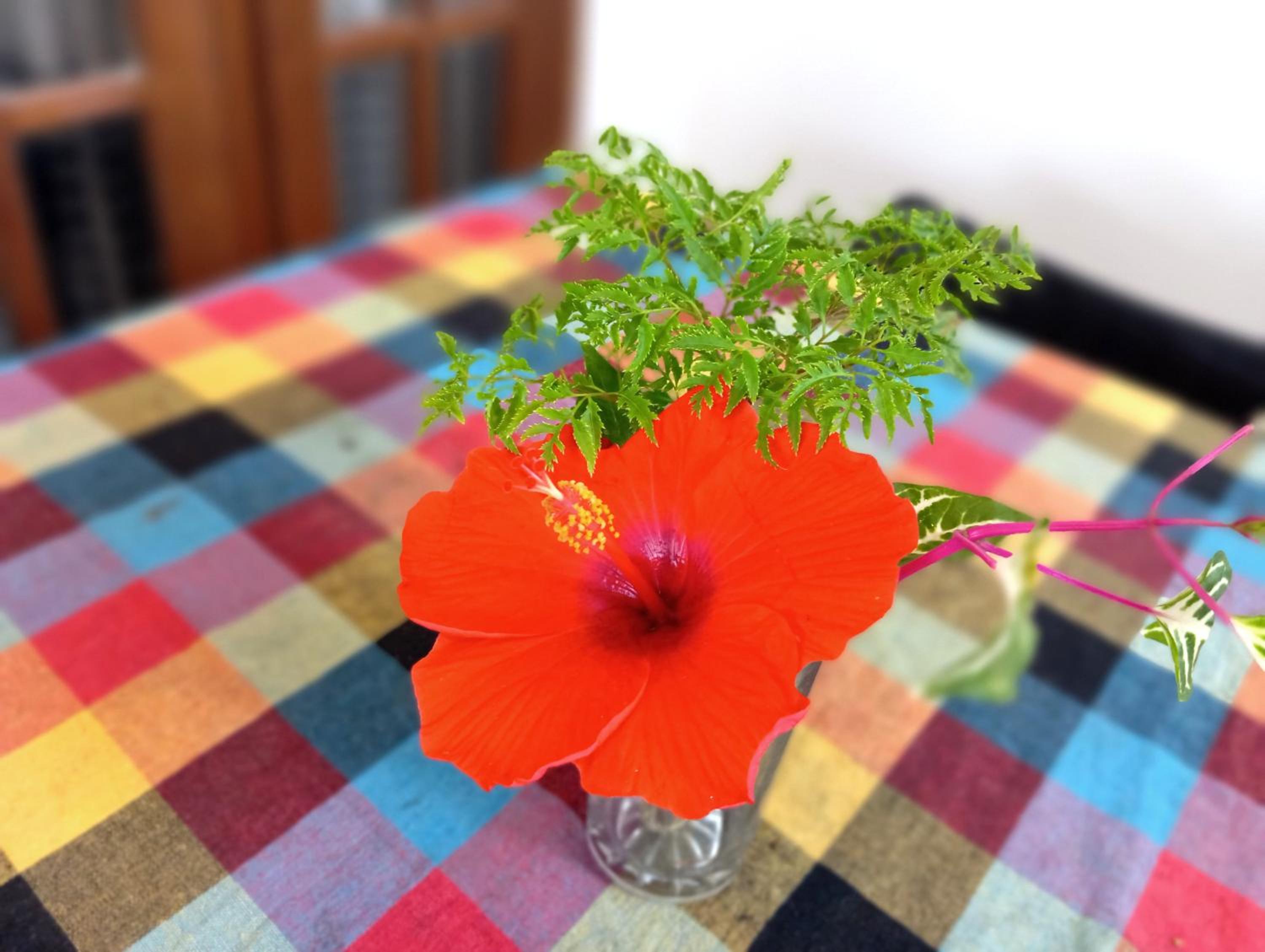 Photo 49