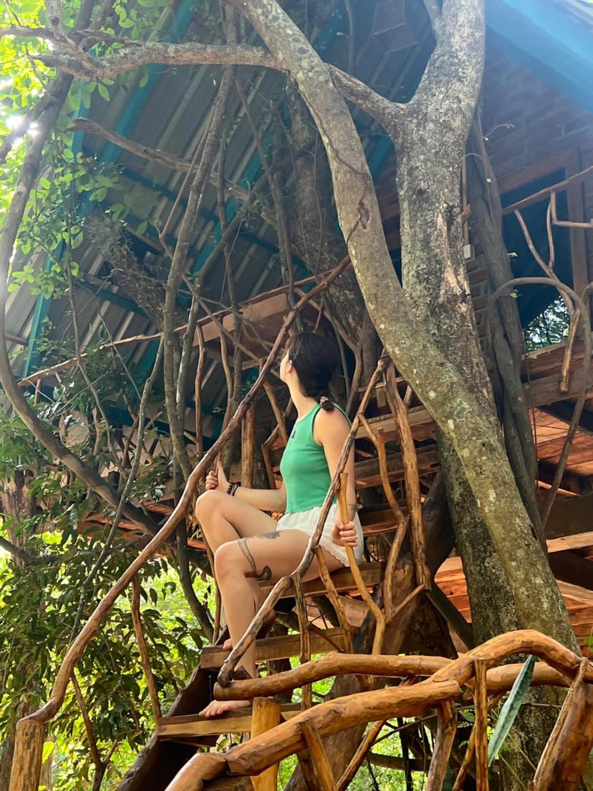 Ali Adi Eco Resort view 5