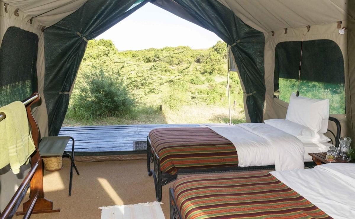 Mara Forest center Camp view 4