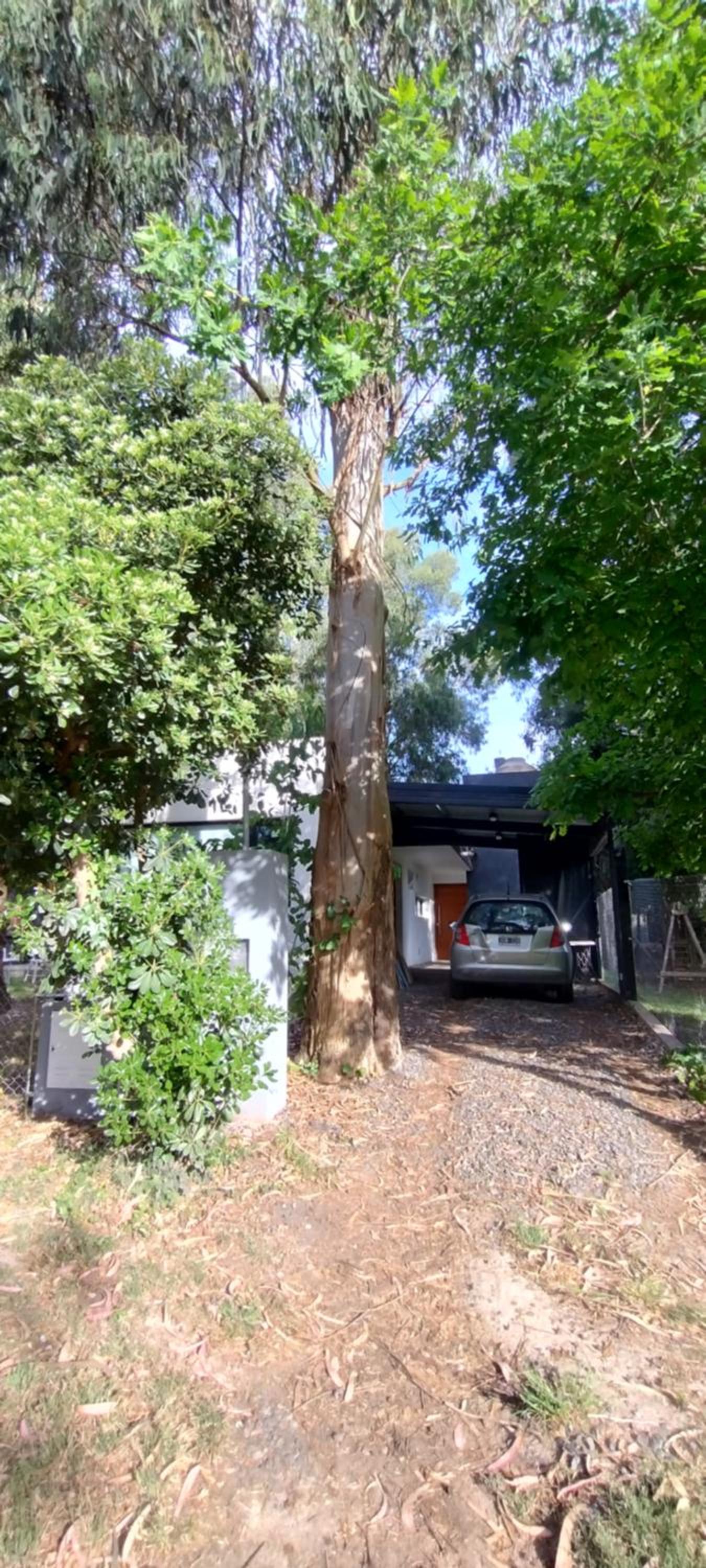 Moderna casa en el Bosque