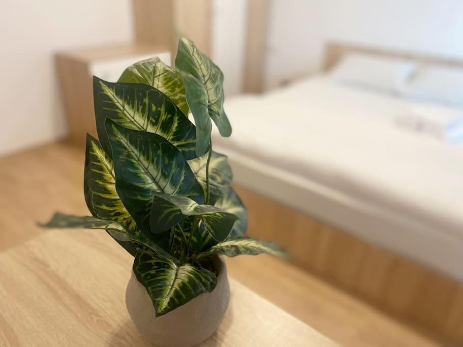 Bright New Apartment With Parking At The Center!