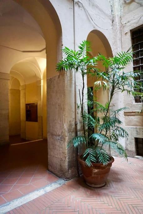 Casa di Nonna, Piazza Navona