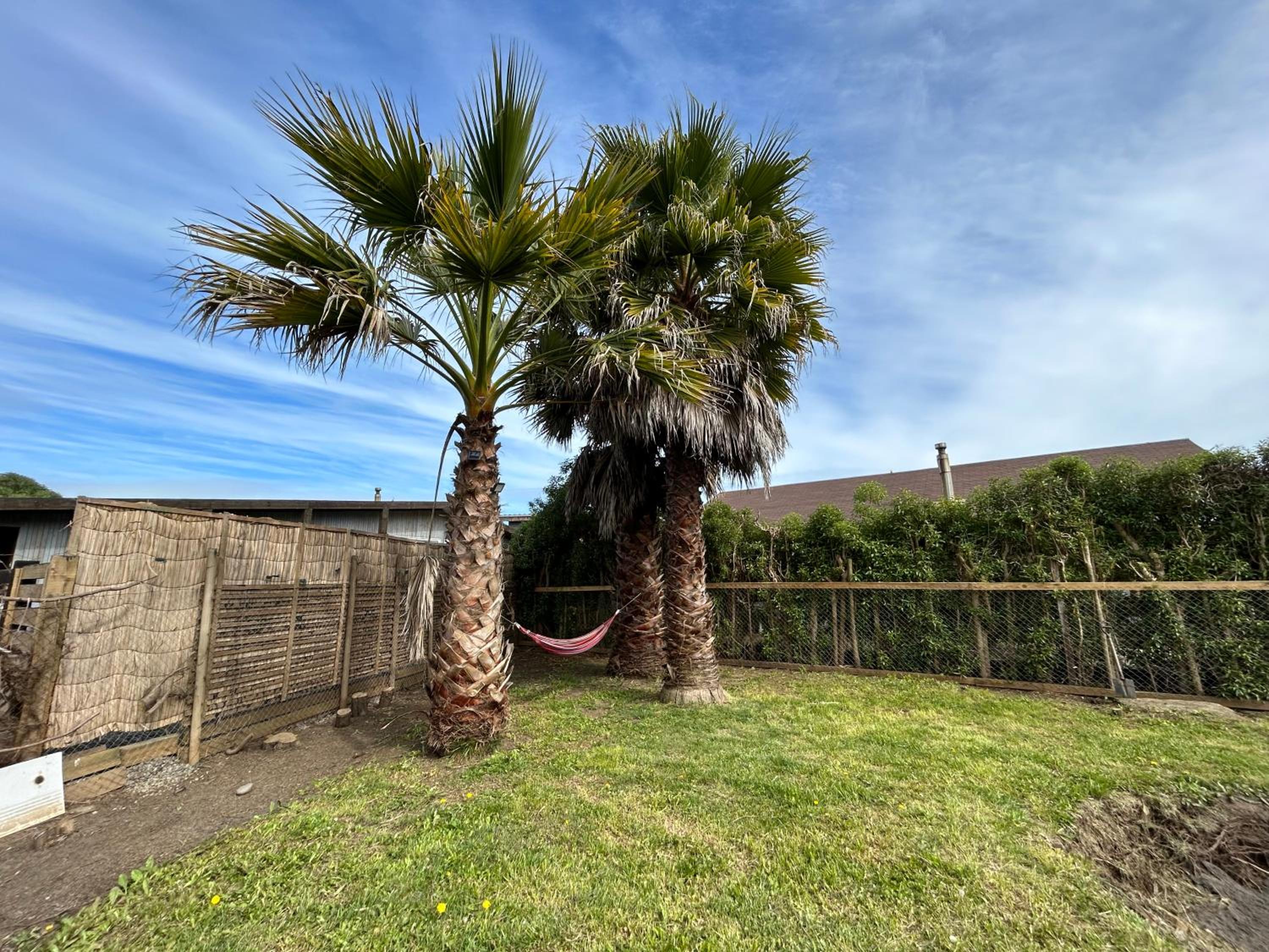 Casa Playa Las Brisas - Navidad